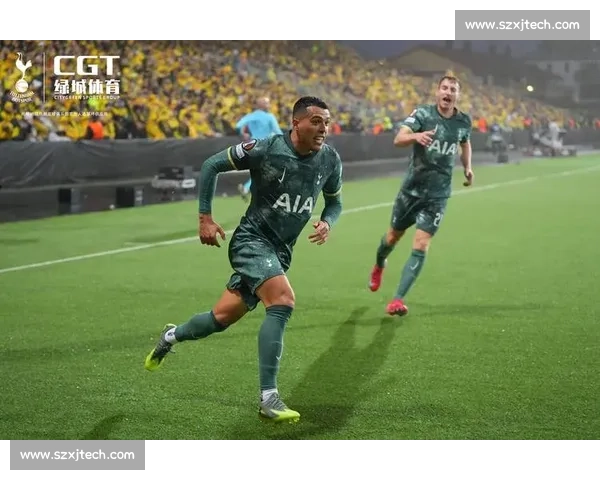 热刺补强战略全面升级冲击英超冠军新赛季蓝图展望未来辉煌征程新 - 副本 - 副本