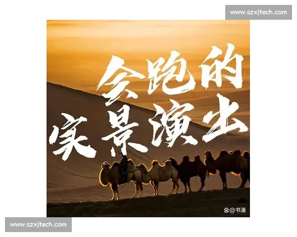 老将逆风翻盘展现不老传奇赛场价值与精神力量的巅峰绽放时刻见证 - 副本 - 副本